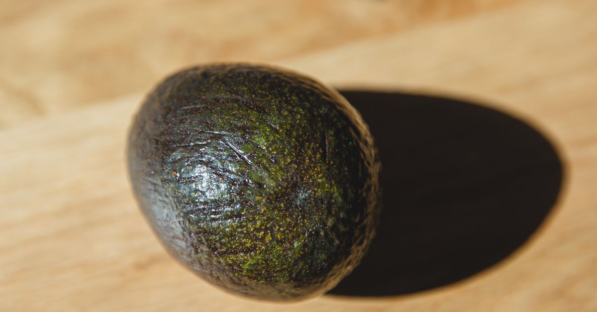 Un avocado non maturo dalla buccia scura e rugosa appoggiato su un tagliere di legno chiaro con una forte ombra proiettata.