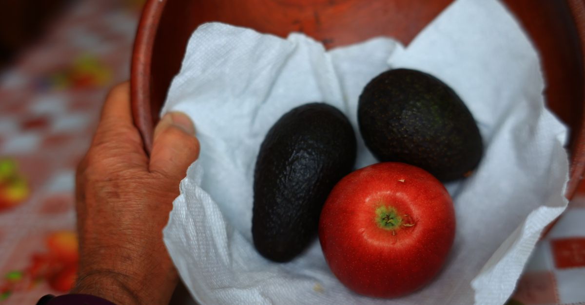Una mano tiene una ciotola con due avocado scuri e una mela rossa avvolti in un tovagliolo di carta.